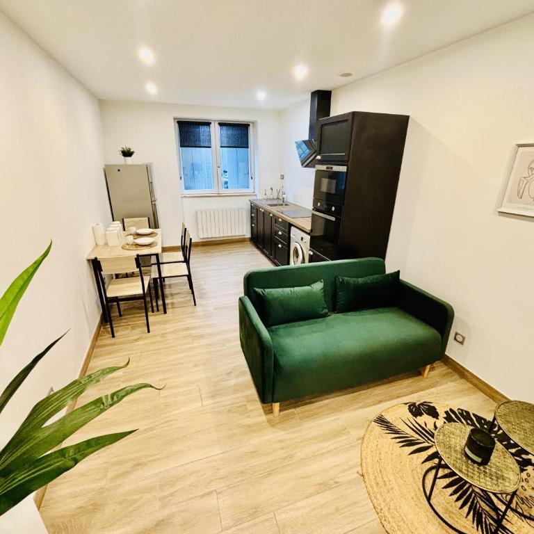Le cocon stéphanois - Proche gare - Saint Etienne - Appartement - 9