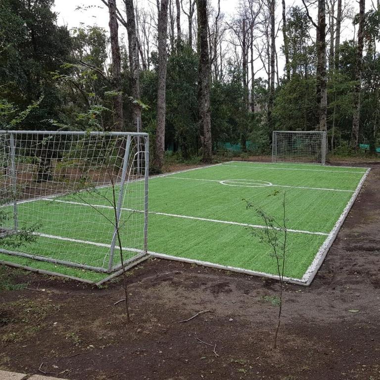 Pucon Adventures & Snow - Apartamento de 2 dormitorios - 4