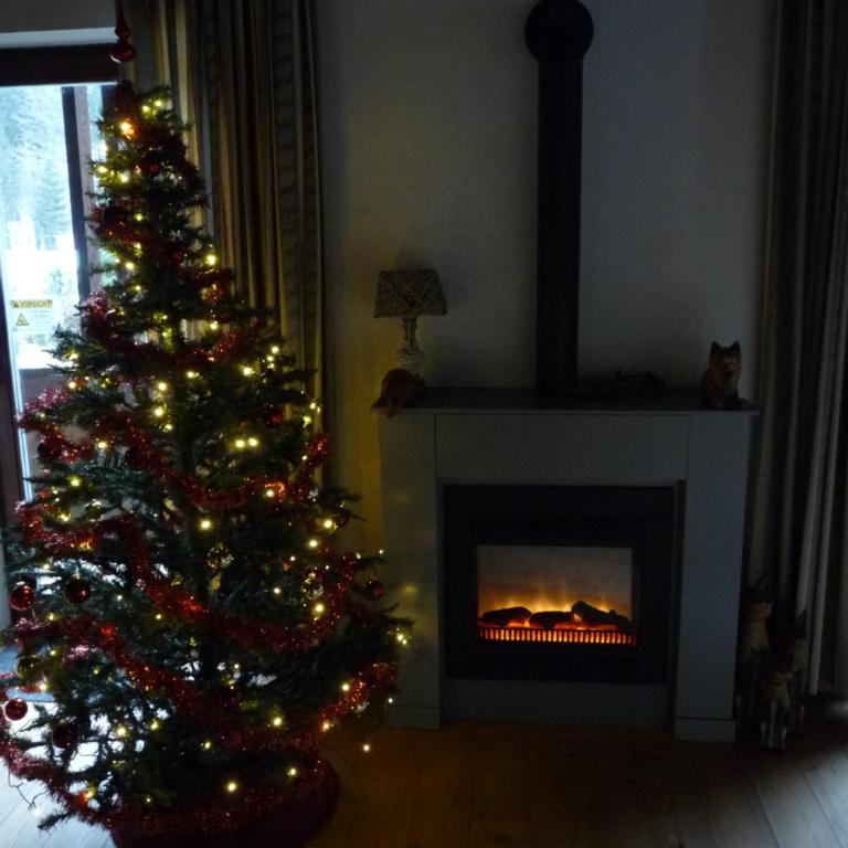 Ferienhaus Schäfer - Apartments - Wintersports - Family holiday - Holiday with your dog - Rural & Scenic - Apartment mit 4 Schlafzimmern und Poolblick - 16