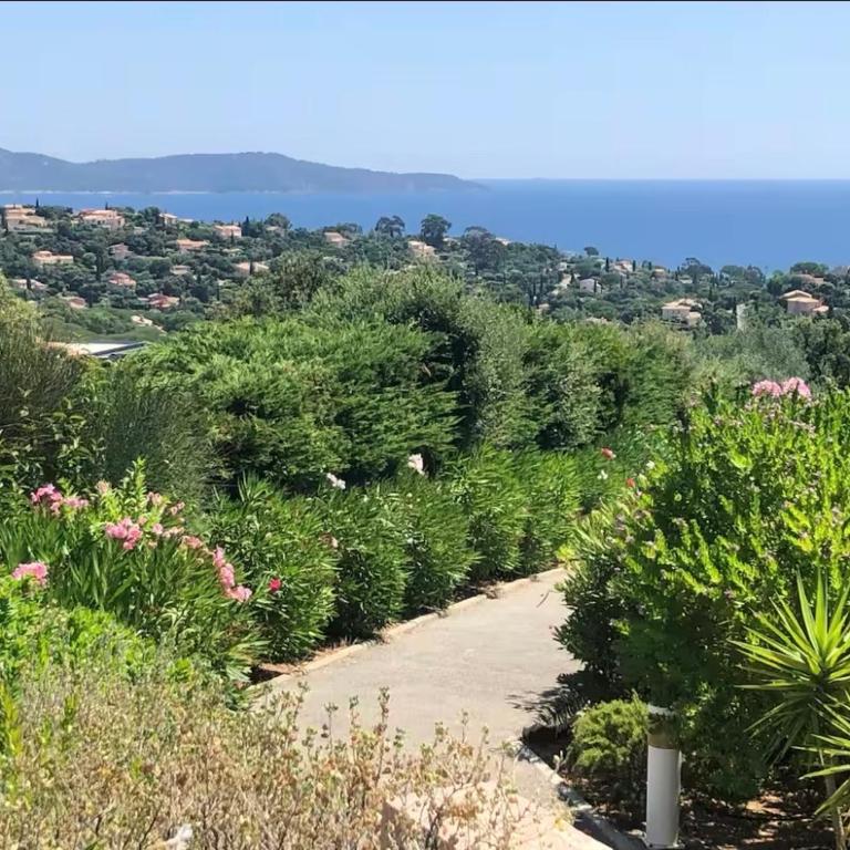 Terrasse de 30m2 vue mer panoramique 1 chambre - Apartamento de 1 dormitorio - 17
