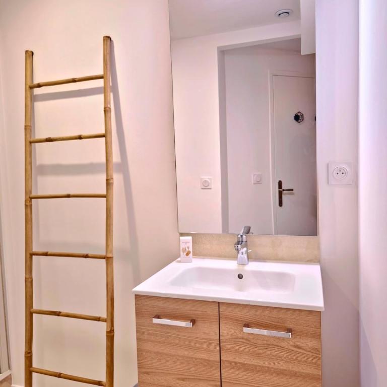 Les chambres de Sandrine avec dans un appartement en collocation - Chambre Double avec Salle de Bains Privative - 14
