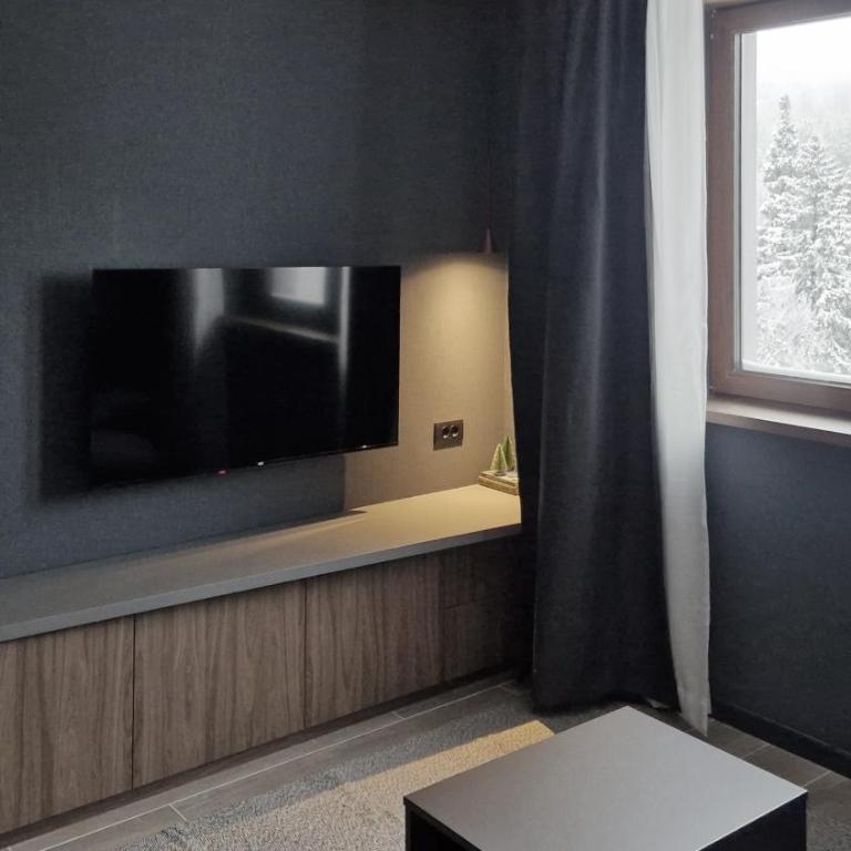 Nova Planina Jahorina - One-Bedroom Apartment with View - 2