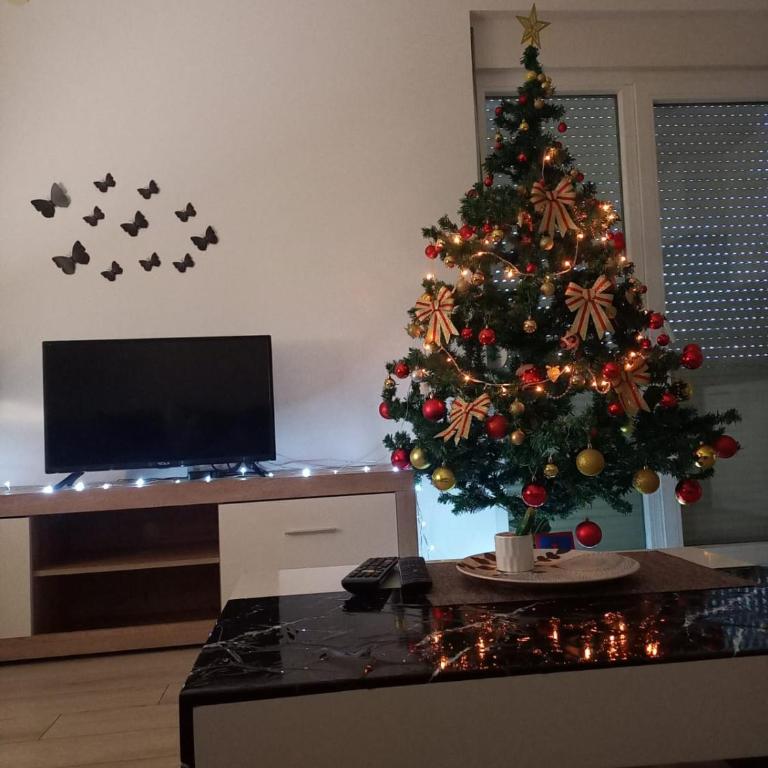 Apartman Nikolic - Apartman sa 2 Spavaće Sobe - 8