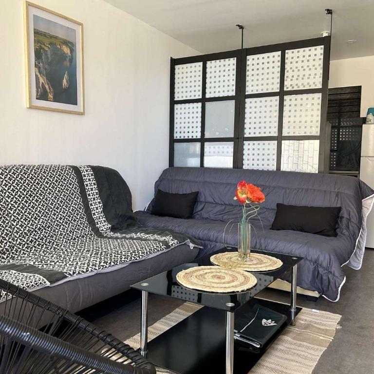 SP520-I188 Appartement 2 pièces SAINT PIERRE LA MER - Apartment mit 1 Schlafzimmer - 5
