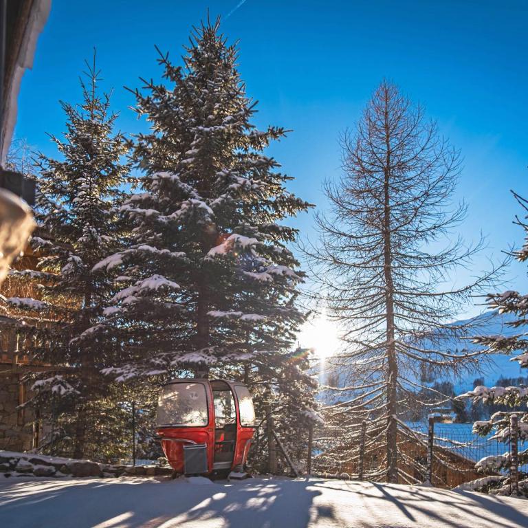 Appartement dans chalet 5 pièces, 14 pers, 4 ch, WiFi, jardin privé - Chalet - 21