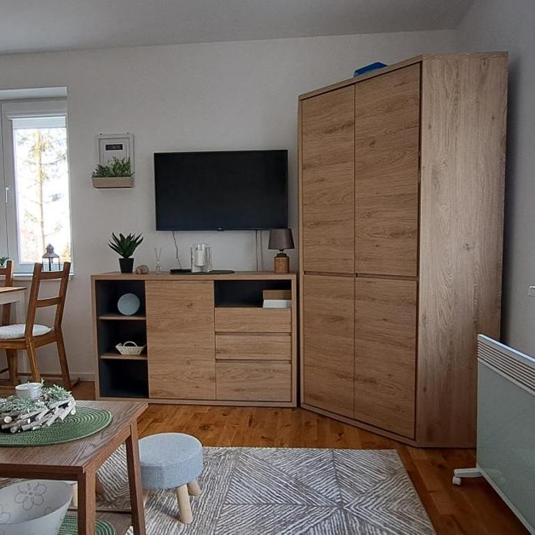A2Kopaonik newly built apartments - Apartman - 32