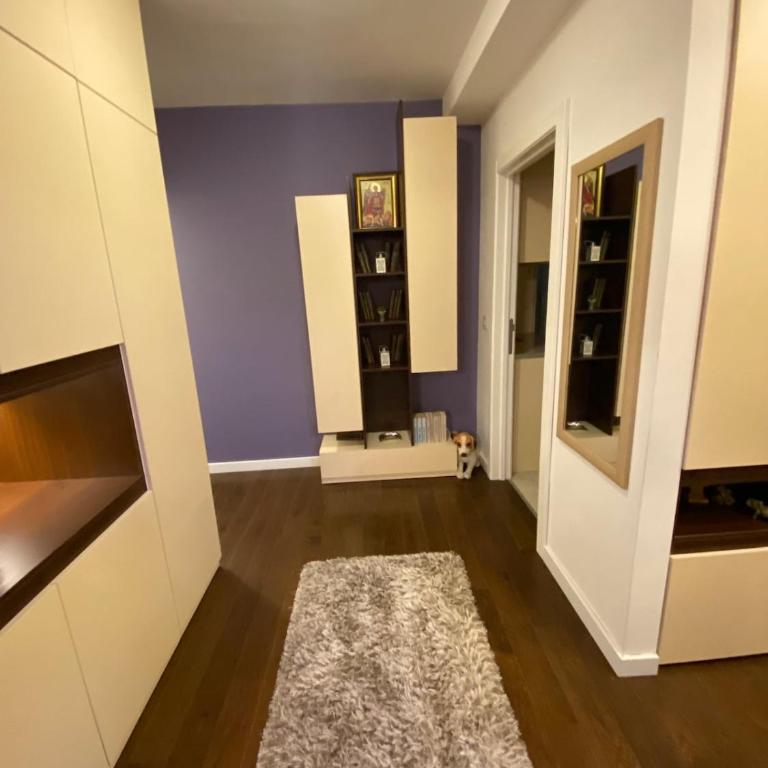 Belgrade Apartment PetraLUX - Deluks Apartman sa 3 Spavaće Sobe - 7