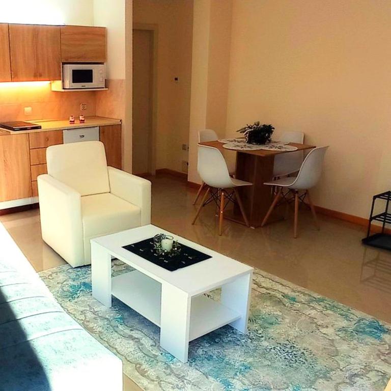 Apartmani Vujanac - Apartman sa 1 Spavaćom Sobom - 4