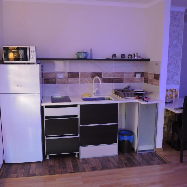 Apartmani Beograd 43 - Apartman sa 1 Spavaćom Sobom - 6