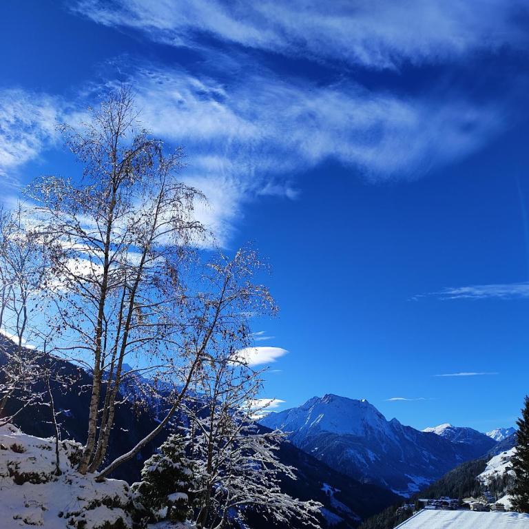 Apart Anna & Anton - Apartment mit 2 Schlafzimmern und Bergblick - 9