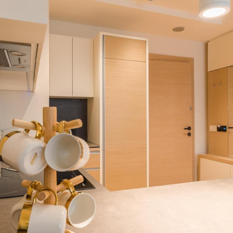 Apartman Mimi Zepterme Vrnjačka Banja - One-Bedroom Apartment - 26