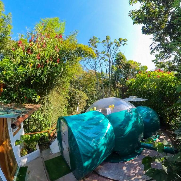 Mindo GlamBird Glamping & Lodge - Tent - 12