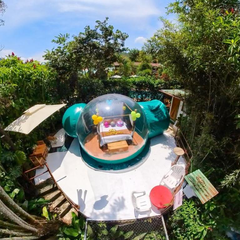Mindo GlamBird Glamping & Lodge - Tent - 2