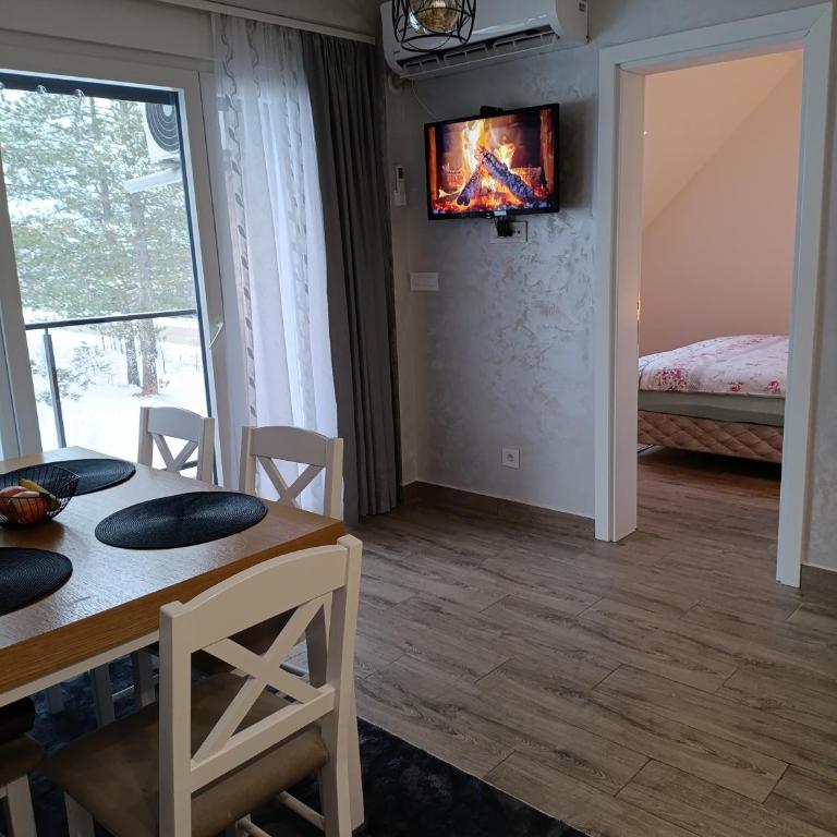 Apartman Maksimović Divčibare - Apartman s 1 Spavaćom Sobom i Terasom - 4