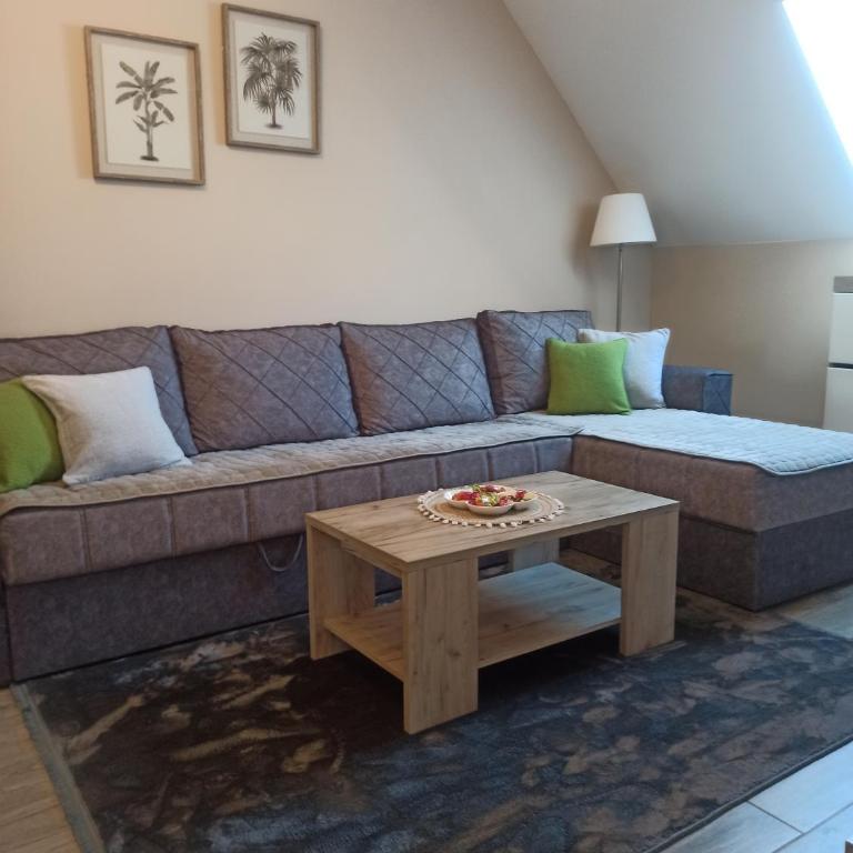 Apartman Maksimović Divčibare - Apartman s 1 Spavaćom Sobom i Terasom - 6