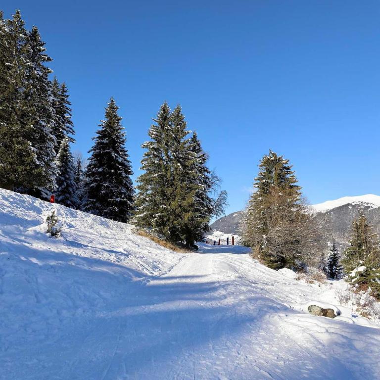 Spacieux 3 chambres, skis aux pieds avec parking et wifi - Three-Bedroom Apartment - 12