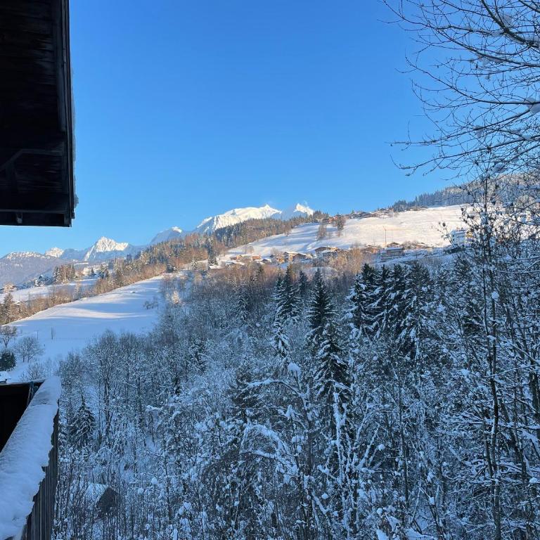 Grand studio Combloux - Vue Mont Blanc - Appartement 1 Chambre - 8