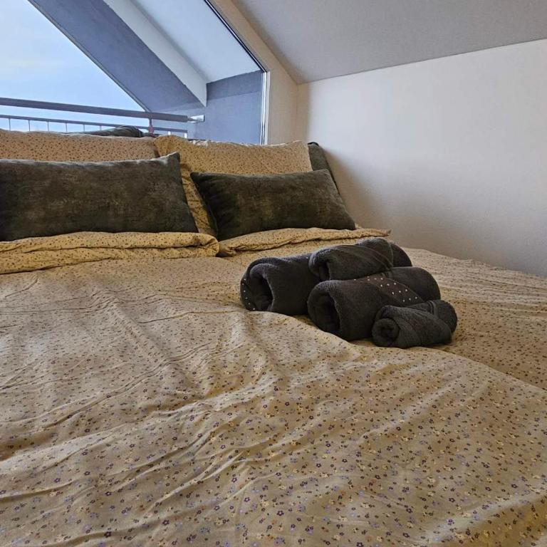 Kota 992 - Apartman sa 1 Spavaćom Sobom - 6