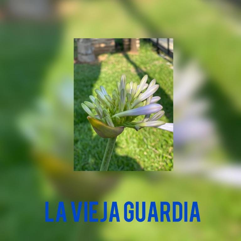 La Vieja Guardią - Habitación Familiar - 5