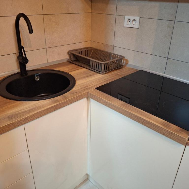 Apartmani Marjanovic - Apartman sa 1 Spavaćom Sobom - 44