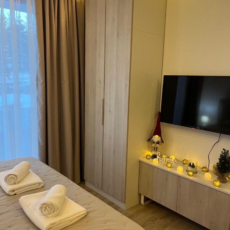 Woodland B65 Residence Hill Kopaonik - Apartman sa 1 Spavaćom Sobom - 11