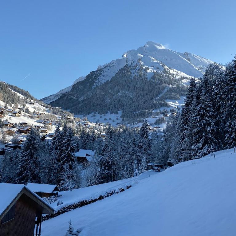 Everest Appt 6 pers ski aux pieds - Appartamento con 3 Camere da Letto - 3