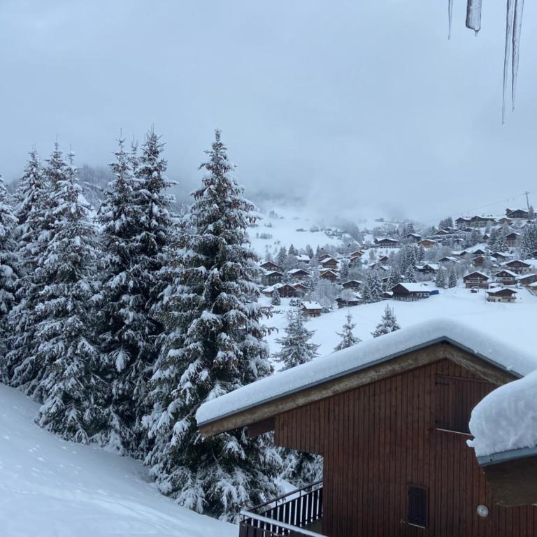 Everest Appt 6 pers ski aux pieds - Appartamento con 3 Camere da Letto - 17