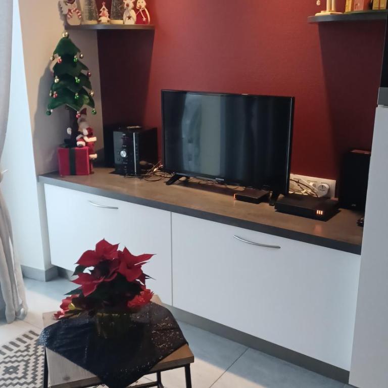 La parenthèse du lac - Appartement 1 Chambre - 27