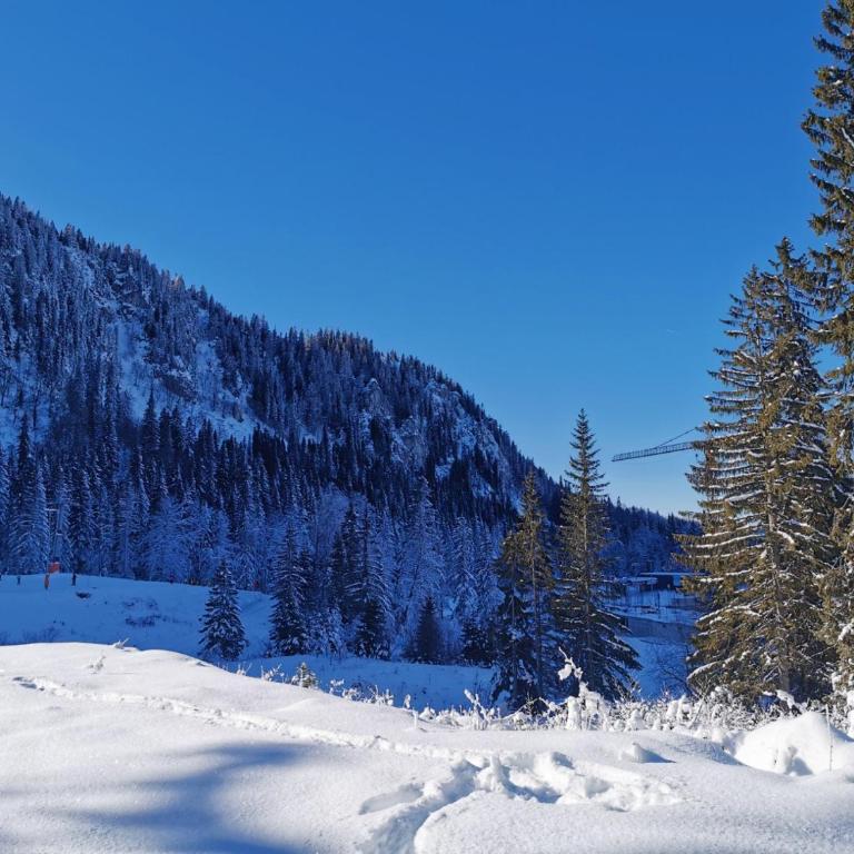 Jahorina Apartman Mila - One-Bedroom Apartment - 17