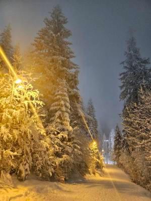 Apartman 151 U u Aparthotelu Vučko Jahorina - private host - Apartman sa 1 Spavaćom Sobom - 24