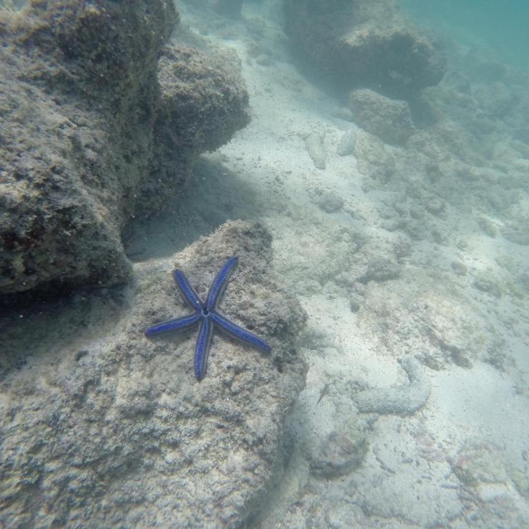 La Casa della Stella Marina - Casa Vacanze - 15