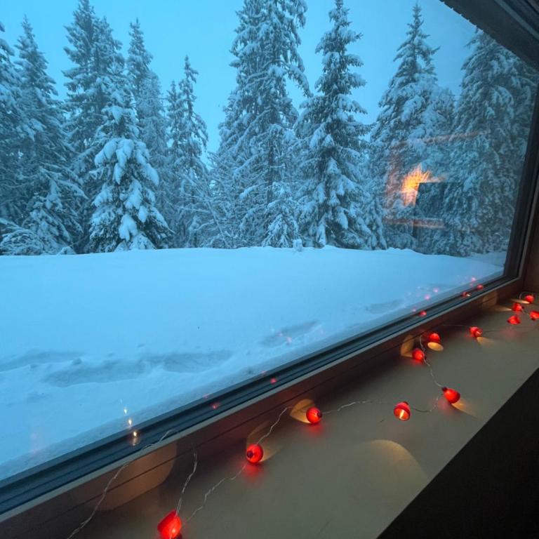 Chalet Dachstein - Chalet - 11