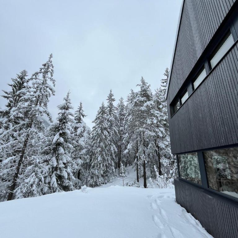 Chalet Dachstein - Chalet - 8