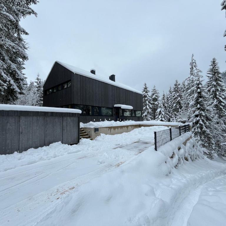 Chalet Dachstein - Chalet - 2