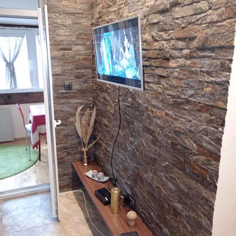 Apartman Viktor - Apartman sa 1 Spavaćom Sobom - 7