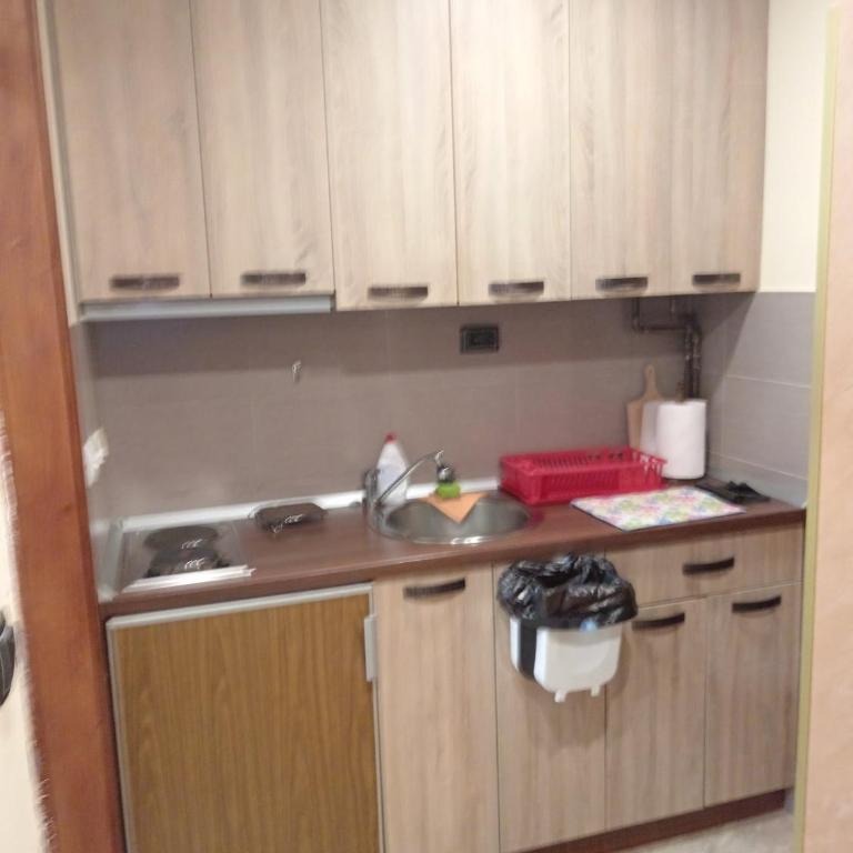 Apartman Viktor - Apartman sa 1 Spavaćom Sobom - 9