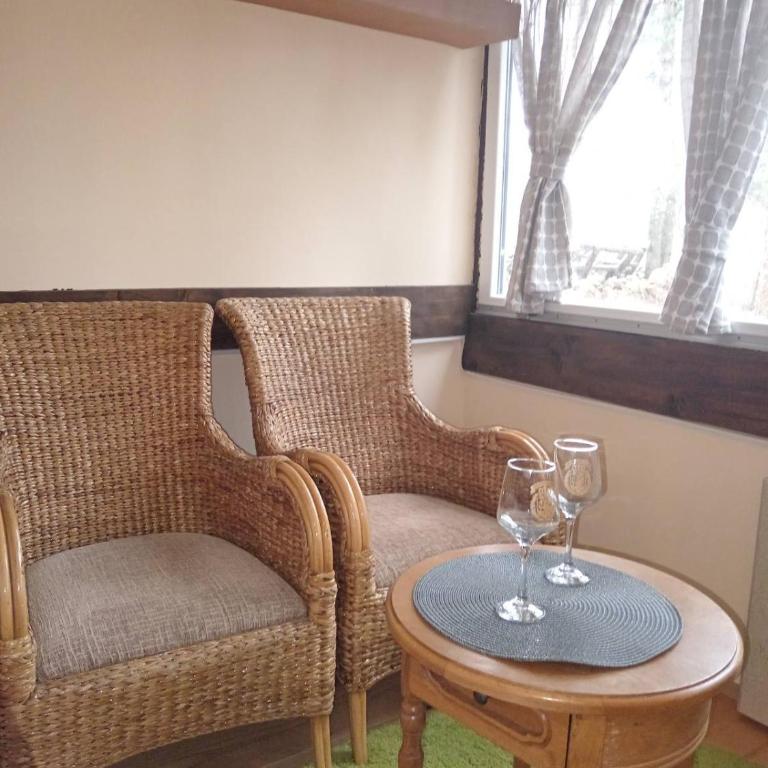 Apartman Viktor - Apartman sa 1 Spavaćom Sobom - 17