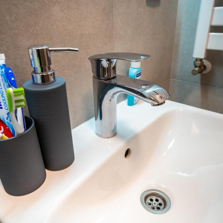 Delta Lux Apartman - Apartman sa 1 Spavaćom Sobom - 41