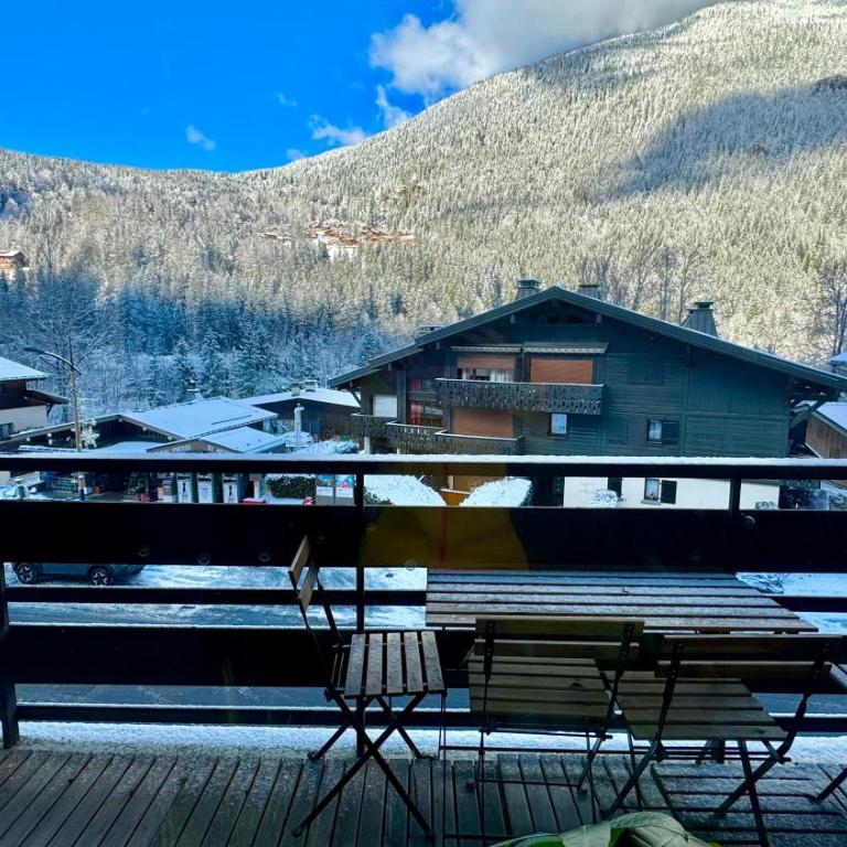 Apartement vue montage magnifique 2ch 5mn piste 3 - Appartement 2 Chambres - 9