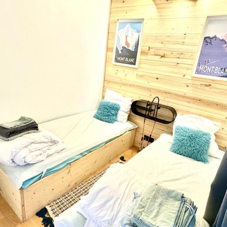 Apartement vue montage magnifique 2ch 5mn piste 3 - Appartement 2 Chambres - 4