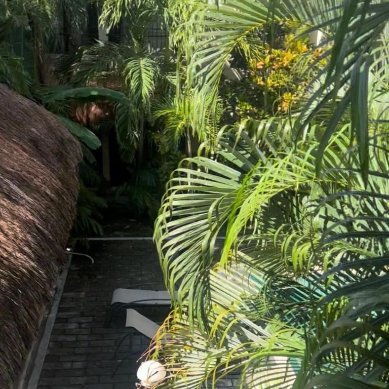 8 min away 2 the Sea - Peace Sanctuary - Apartamento de 1 dormitorio - 3