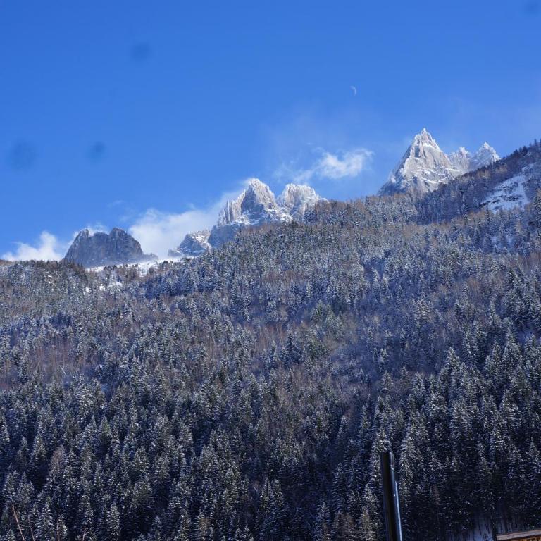 Aiguille du Midi - Le Chamo'nid - Appartement avec Balcon - 20