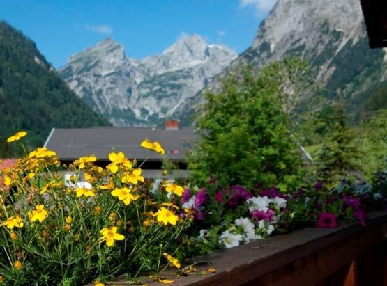 Ferienhaus Rosi - Apartamento de 1 dormitorio - 2
