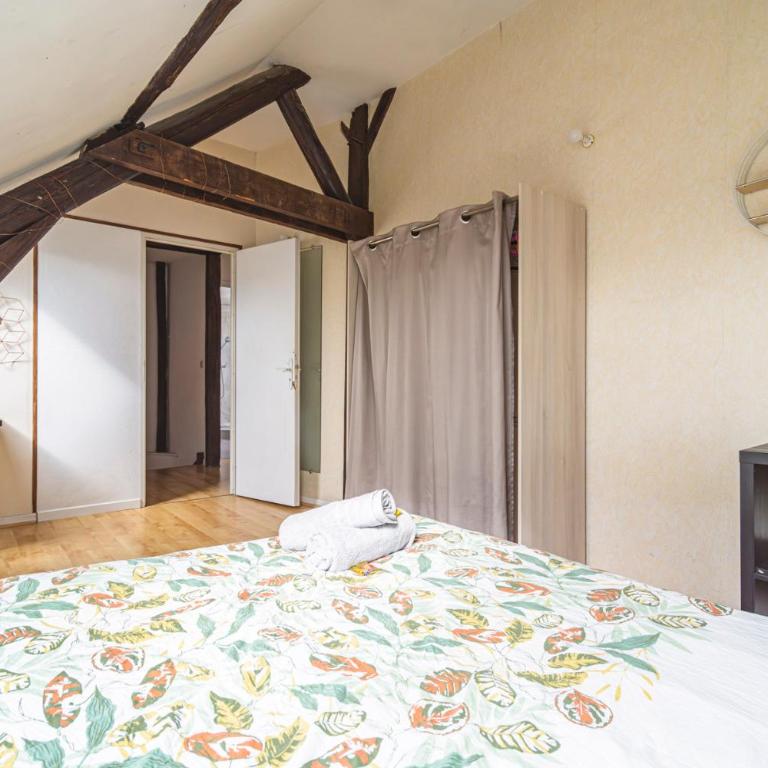 Grand appartement Reims gare centre 4 chambres - Appartamento - 12