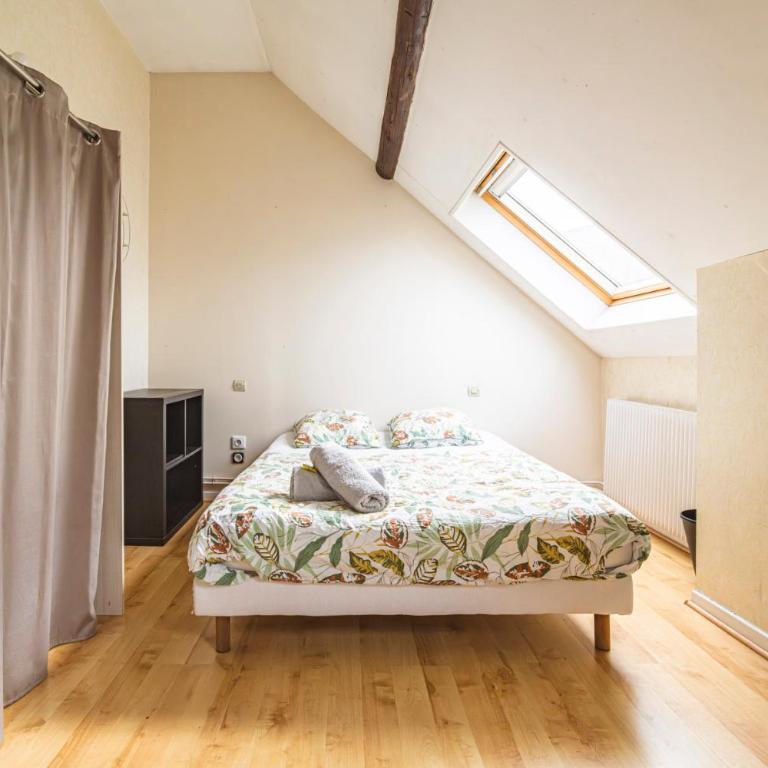 Grand appartement Reims gare centre 4 chambres - Appartamento - 13