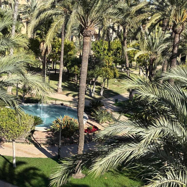 Apartamento primera línea playa Torrevieja El Palmeral - Two-Bedroom Apartment with Sea View - 30