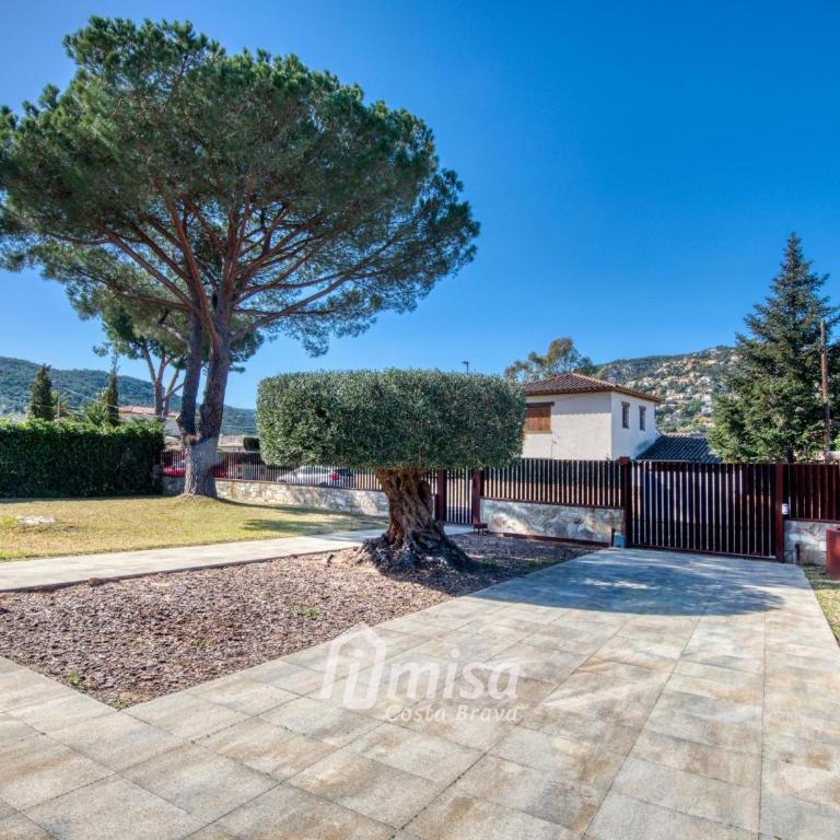 Villa Olivo - Casa - 17