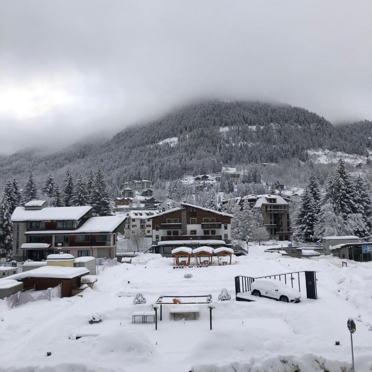 Appartamento in centro a Ponte di legno - Appartement 1 Chambre - 14