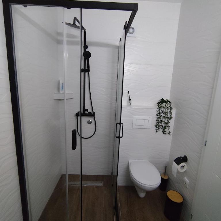 Stan na dan Lane Pale - One-Bedroom Apartment - 13
