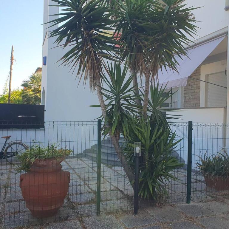 Lecci al Mare - Appartamento con 2 Camere da Letto - 62